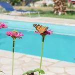 Apartmán Doroufi